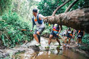 BIB: 
                            <button type="button" onclick="openModal(25375449)" class="btn btn-primary btn-sm float-right btn-popup" data-toggle="modal" data-target=".modal-high-quality">
                        <i class="fas fa-shopping-cart"></i> Add to Cart
                    </button>
                                            <button type="button" onclick="isThisMe(25375449, true)" class="btn btn-success btn-sm float-right btn-popup btn-isme hidden" data-toggle="tooltip" data-placement="bottom" title="นี่คือรูปของคุณใช่ไหม คลิกที่นี่เพื่อเอาเข้าอัลบั้ม">
                        <i class="fas fa-plus"></i> Add to album
                    </button>
                    <button type="button" onclick="isThisMe(25375449, false)" class="btn btn-warning btn-sm float-right btn-popup btn-isnotme hidden">
                        <i class="fas fa-ban"></i> Remove from album
                    </button>